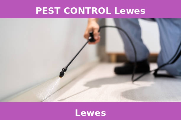 PEST CONTROL Lewes